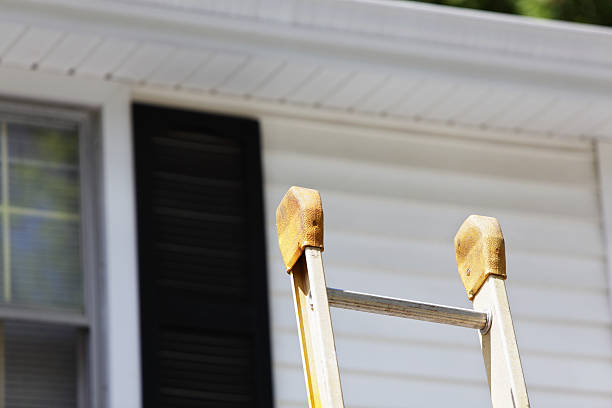 Best Siding Removal and Disposal  in Wasilla, AK